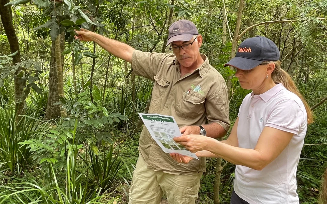 Environmental Beauty of The Gap