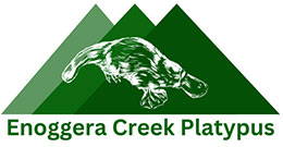 Enoggera Creek Platypus Logo