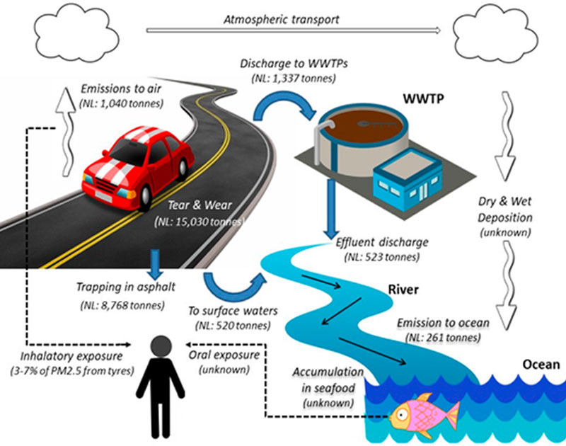 Distribution pathways of tyre wear particles across environmental compartments