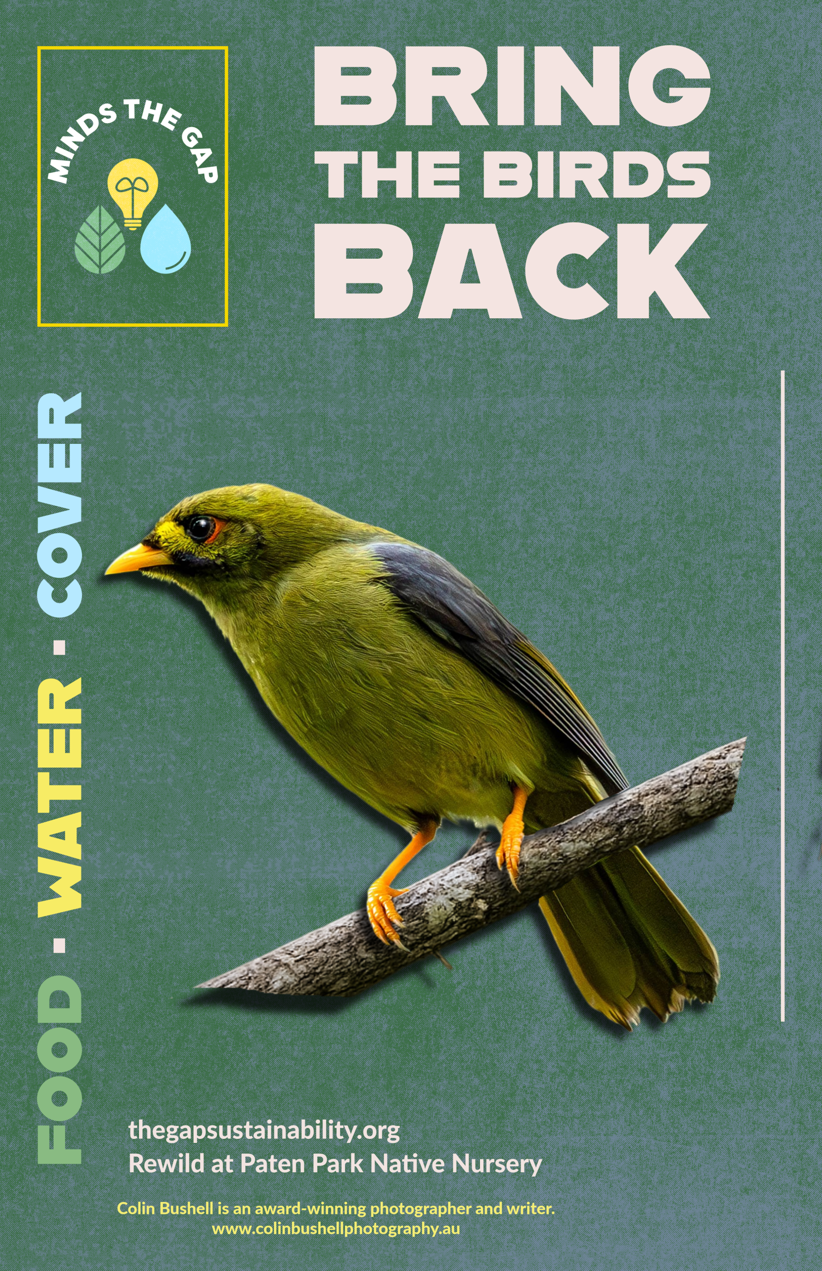 Bring the Birds Back postcard front